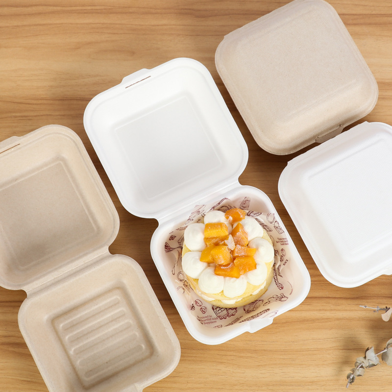 10/20/50Pcs Disposable Eco-Fri - Meal Prep For A Day reseña y precio