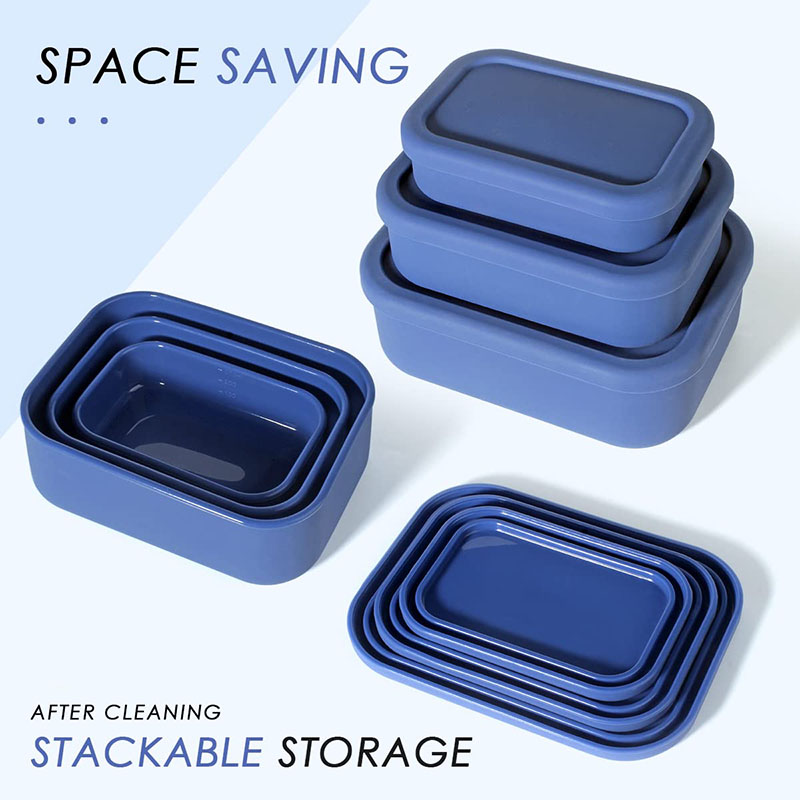 Leak-Resistant Bento Lunch Box - Meal Prep Lunch reseña y precio