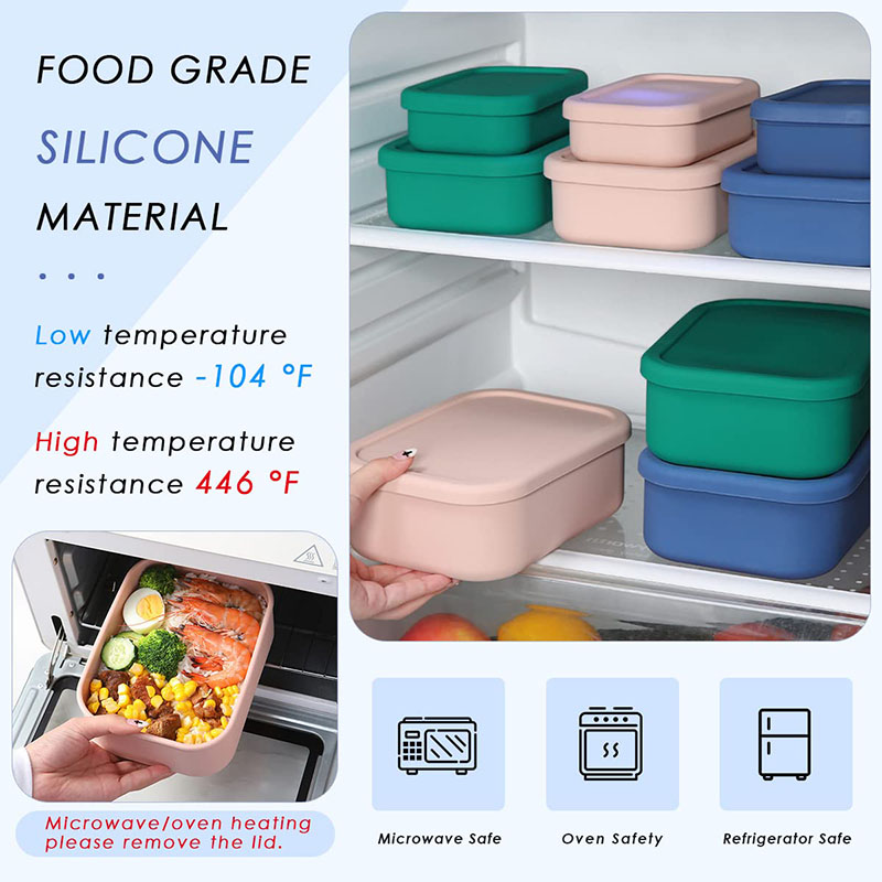 Leak-Resistant Bento Lunch Box - Meal Prep Lunch reseña y precio